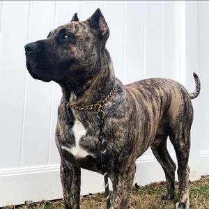 Meet your Posher, Keith